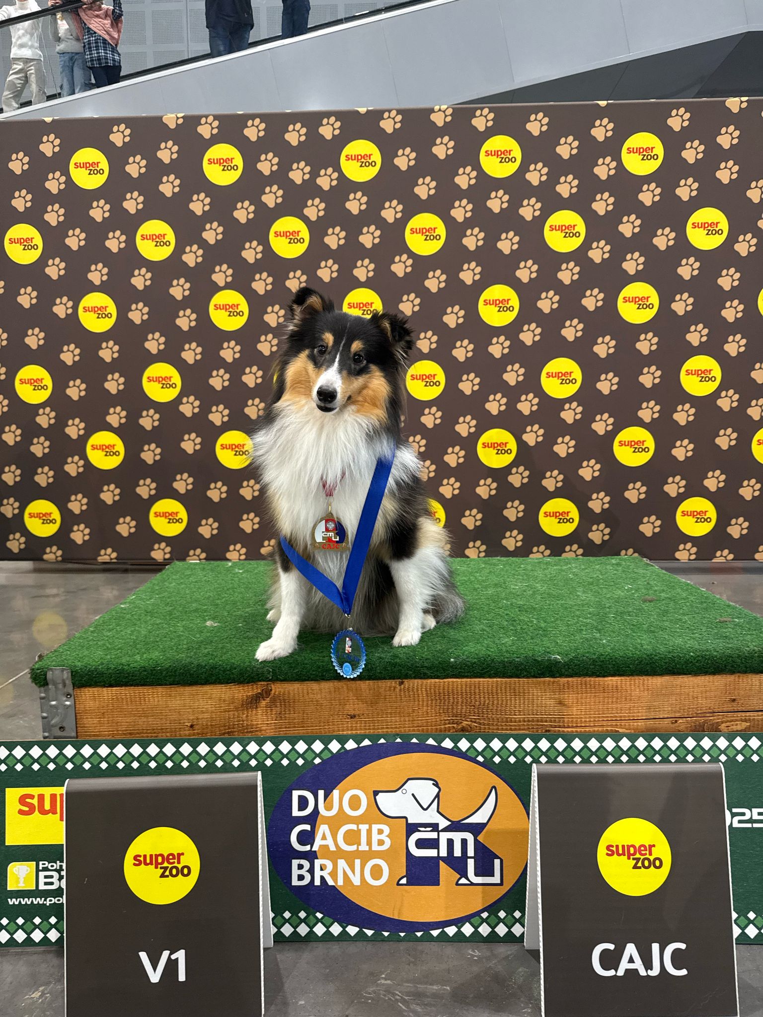 Izarra Antares Dancing in the wind